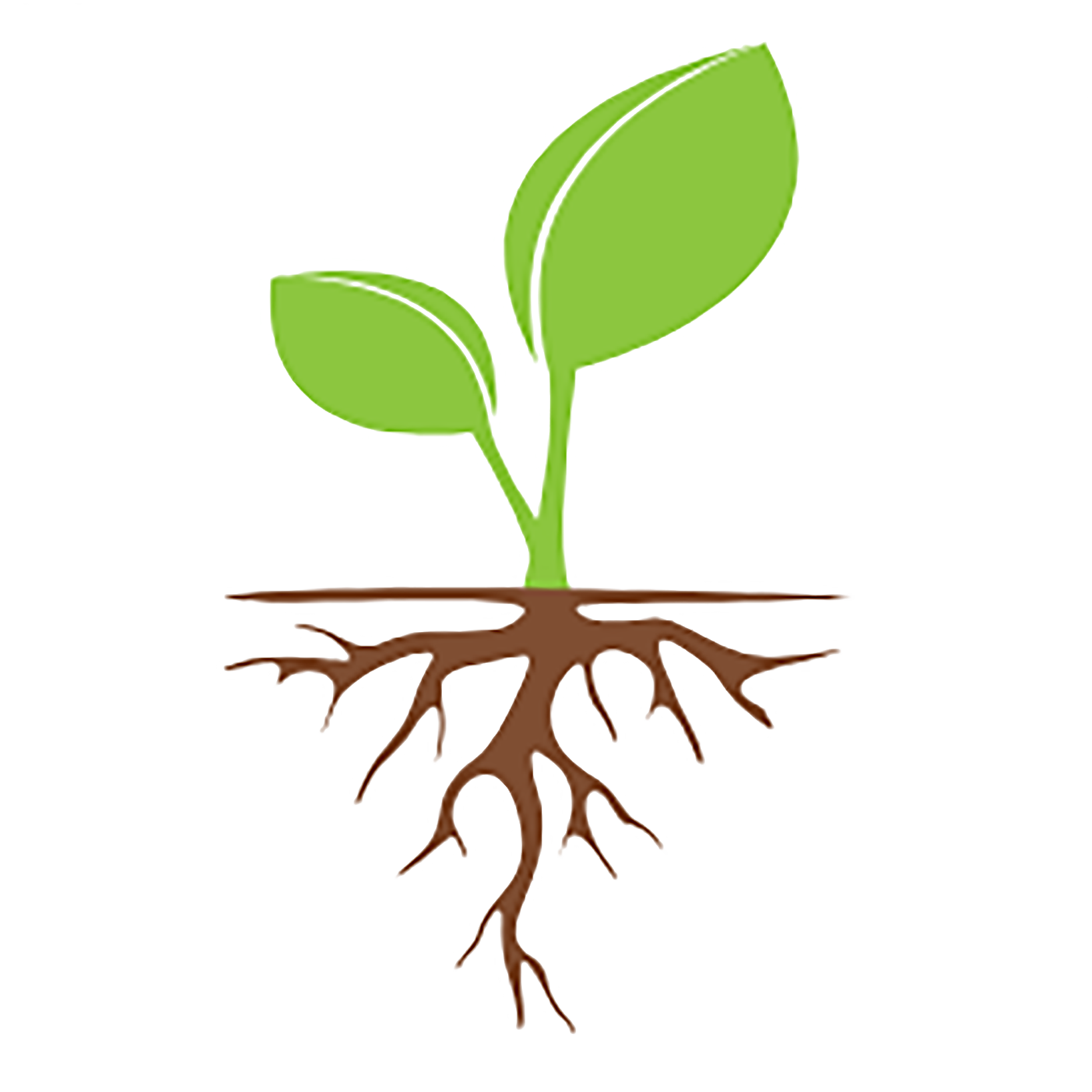 Root Cause Consultation